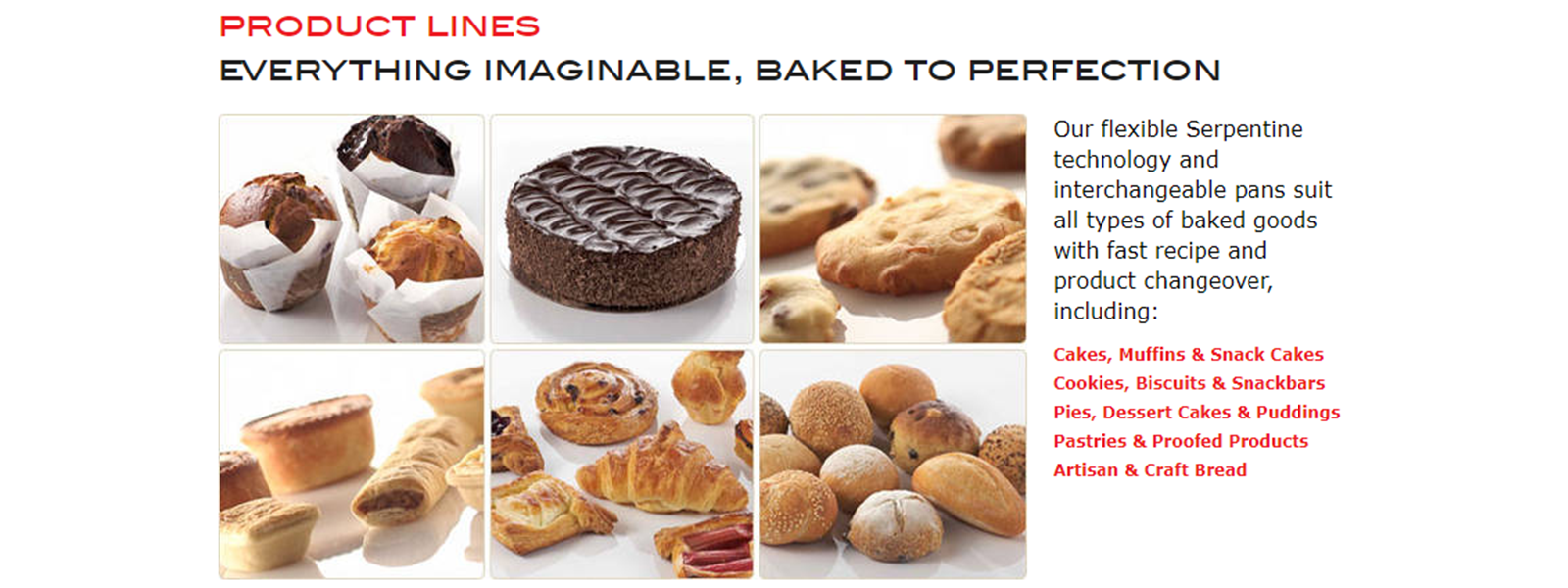 Business AutoBake Serpentine